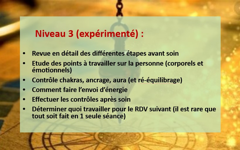 Programme niveau 3 pendule - magnetisme - magnetiseur voiron