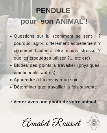 soin pendule animal Voiron